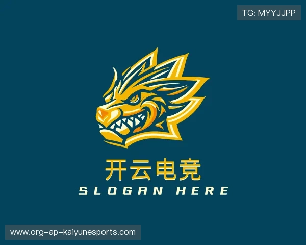 了解开云电竞注册